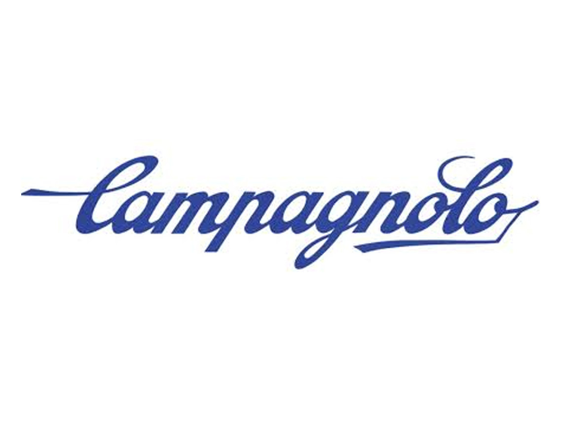 Campagnolo RE 11s Rear Derailleur Carbon Rod